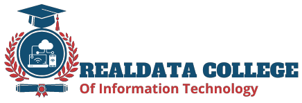 Realdata International College of Information Tehnology